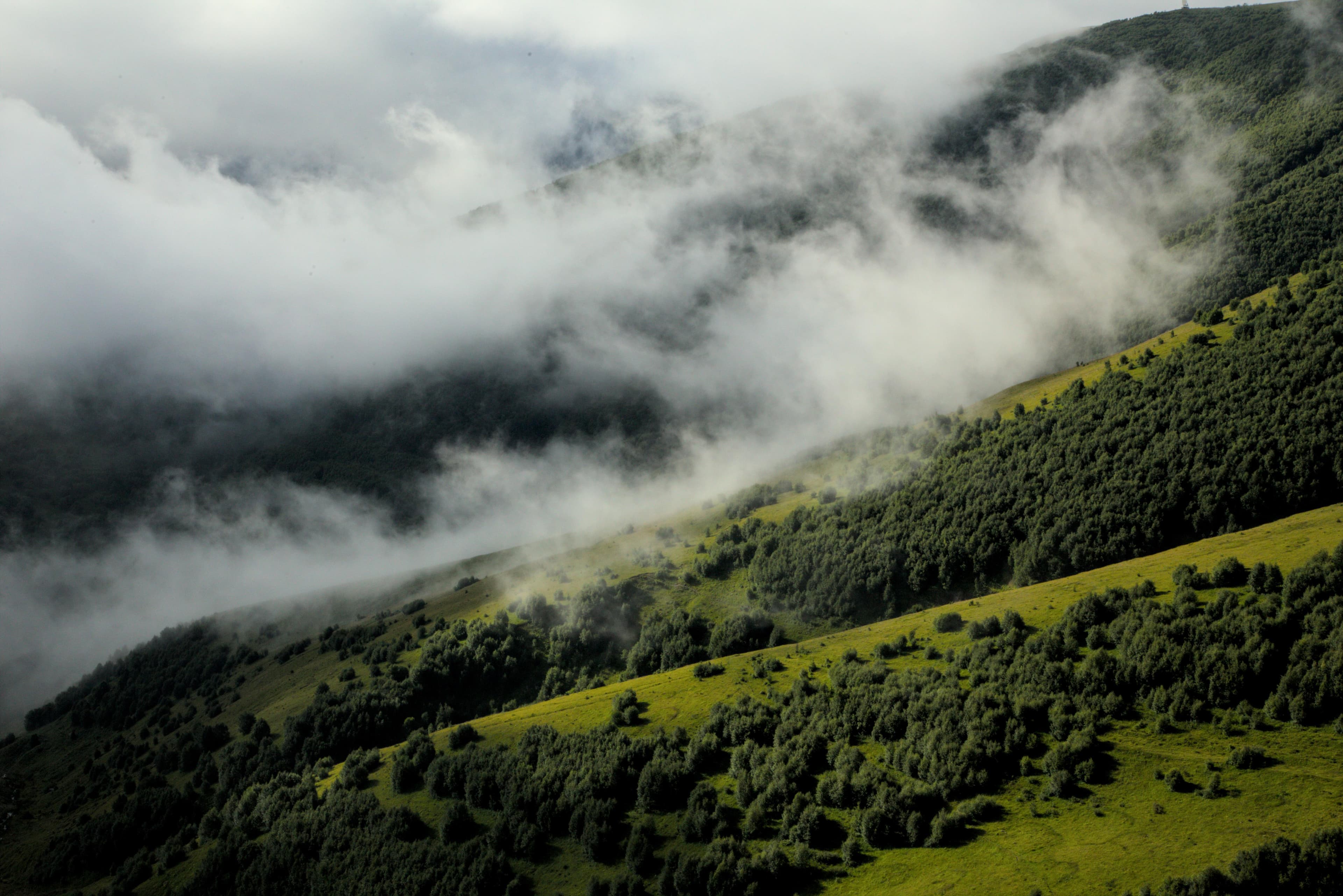 Green mountains.